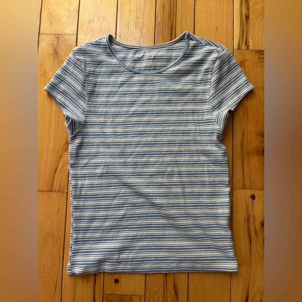American Eagle Outfitters Blue and White Striped Short Sleeve Tee - Picture 1 of 2